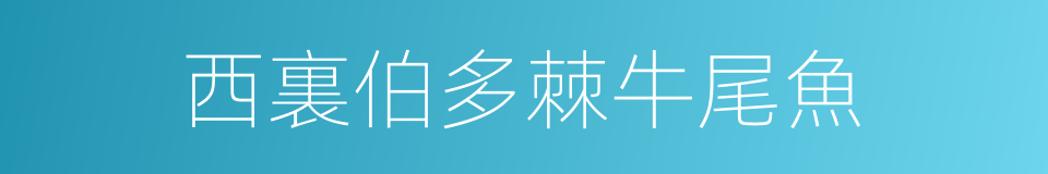 西裏伯多棘牛尾魚的同義詞