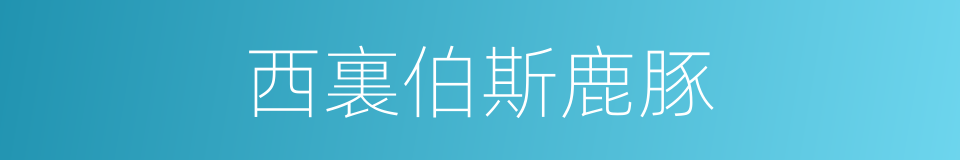 西裏伯斯鹿豚的同義詞