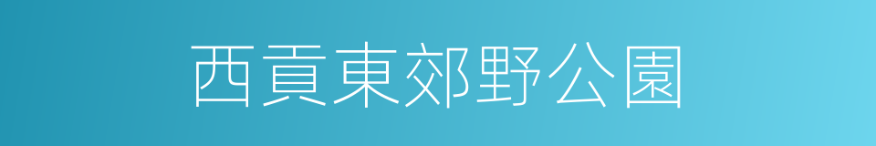 西貢東郊野公園的同義詞