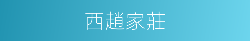 西趙家莊的同義詞