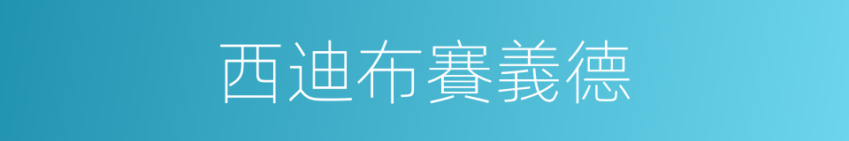 西迪布賽義德的同義詞
