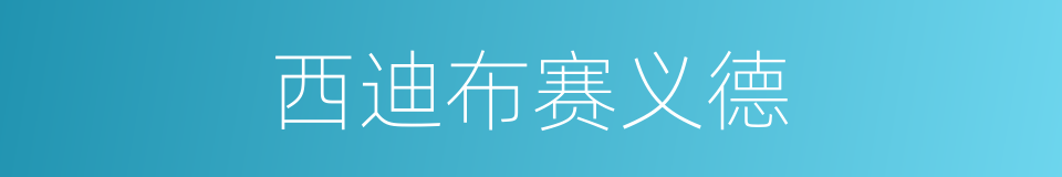 西迪布赛义德的同义词