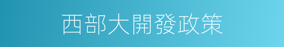 西部大開發政策的同義詞