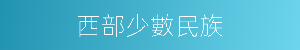 西部少數民族的同義詞