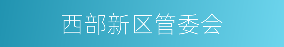 西部新区管委会的同义词