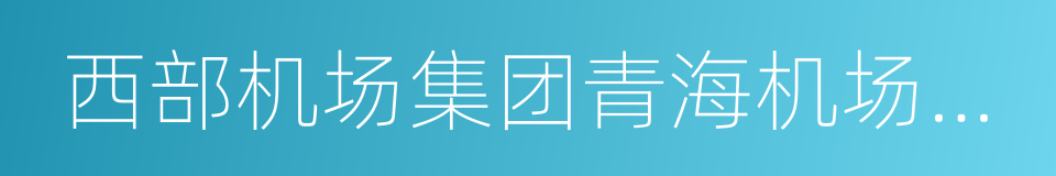 西部机场集团青海机场有限公司的同义词