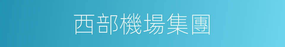 西部機場集團的同義詞