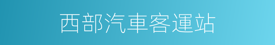 西部汽車客運站的同義詞