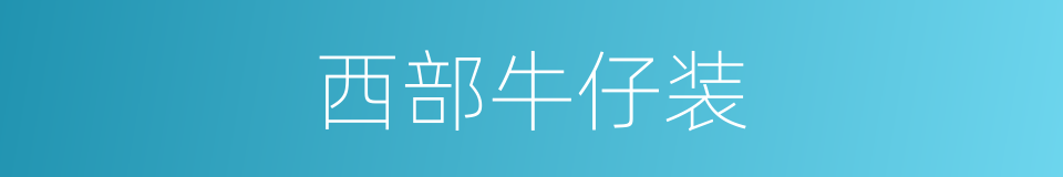 西部牛仔装的同义词