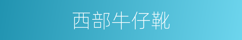 西部牛仔靴的同义词