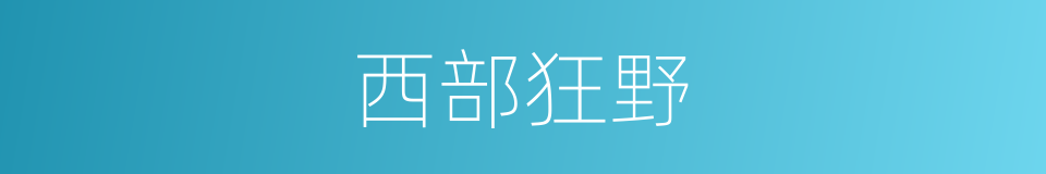 西部狂野的同义词