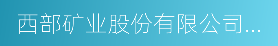 西部矿业股份有限公司董事长的同义词