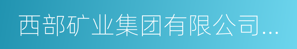 西部矿业集团有限公司董事长的同义词