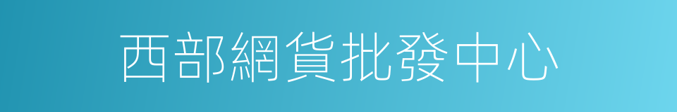 西部網貨批發中心的同義詞