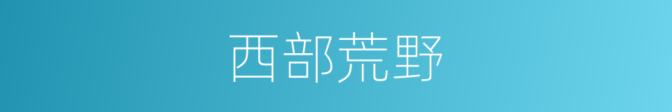 西部荒野的同义词