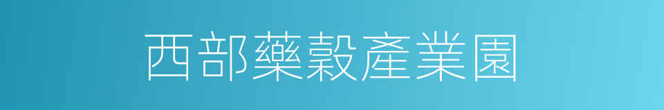 西部藥穀產業園的同義詞