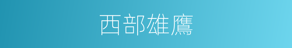 西部雄鷹的同義詞