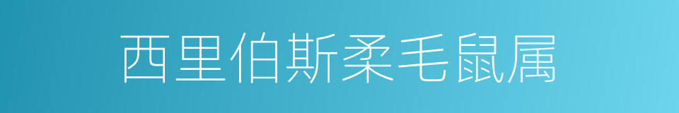 西里伯斯柔毛鼠属的同义词