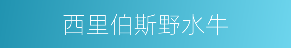 西里伯斯野水牛的同义词