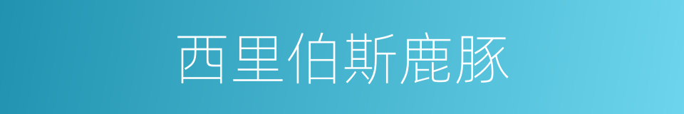 西里伯斯鹿豚的同义词