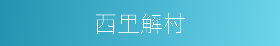 西里解村的同义词