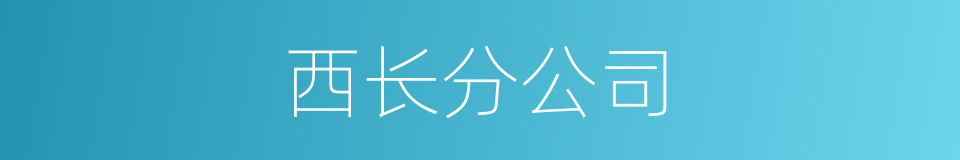 西长分公司的同义词