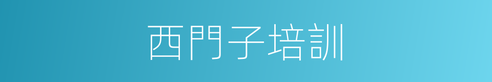 西門子培訓的同義詞