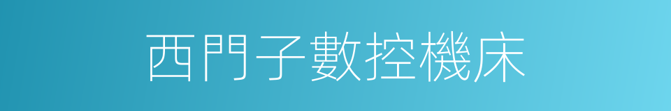 西門子數控機床的同義詞