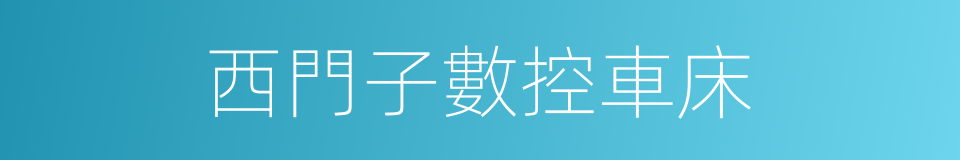 西門子數控車床的同義詞