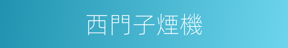 西門子煙機的同義詞