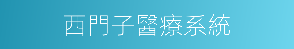 西門子醫療系統的同義詞