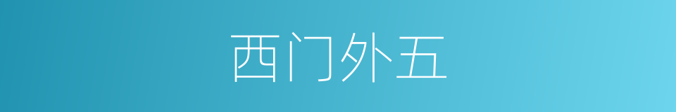 西门外五的同义词