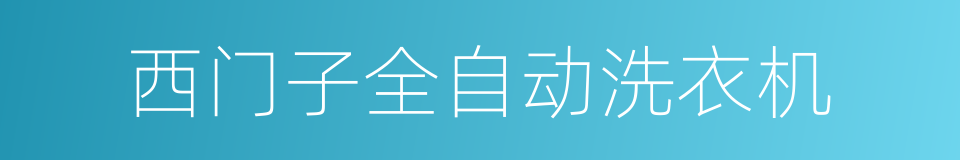 西门子全自动洗衣机的同义词