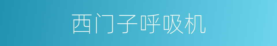 西门子呼吸机的同义词