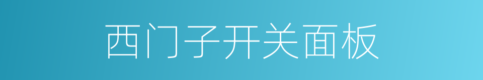 西门子开关面板的同义词