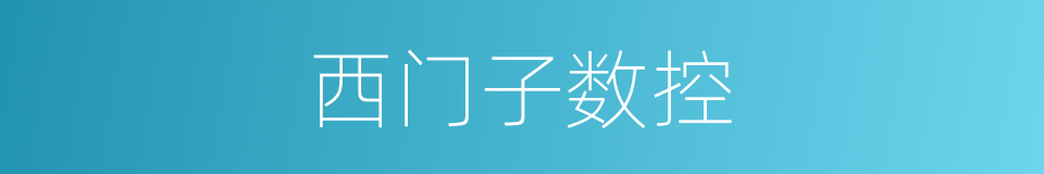 西门子数控的同义词