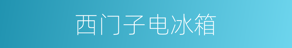 西门子电冰箱的同义词