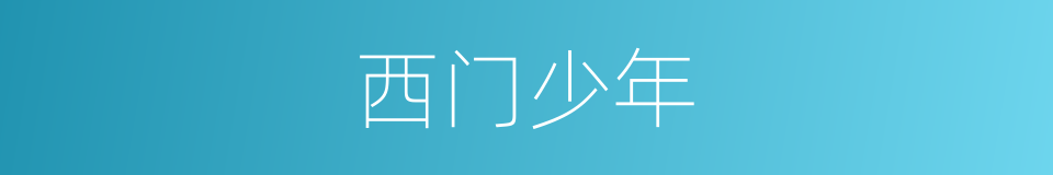 西门少年的同义词