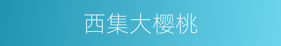 西集大樱桃的同义词