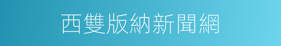 西雙版納新聞網的同義詞