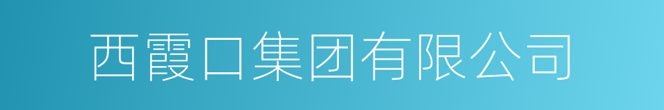 西霞口集团有限公司的同义词