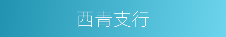 西青支行的同义词
