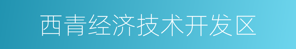 西青经济技术开发区的同义词