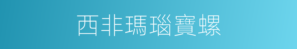 西非瑪瑙寶螺的同義詞