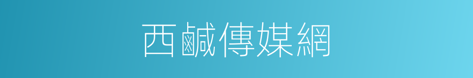 西鹹傳媒網的同義詞