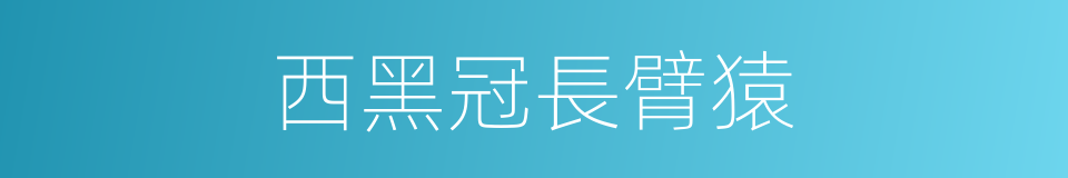 西黑冠長臂猿的同義詞