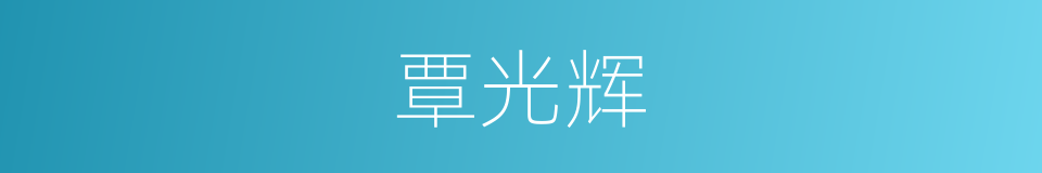 覃光辉的同义词