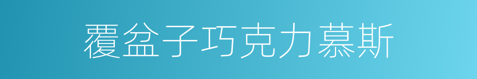覆盆子巧克力慕斯的同义词
