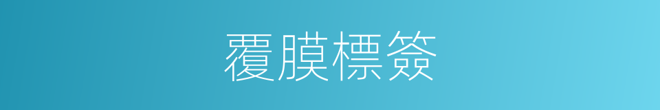 覆膜標簽的同義詞