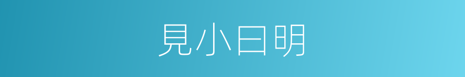 見小曰明的同義詞